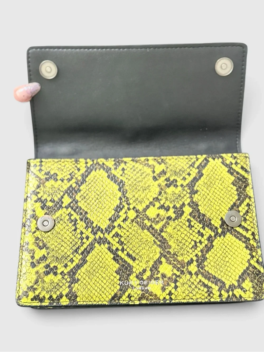Kurt Geiger RARE Minaudière Green Python-Print Chain Shoulder Bag